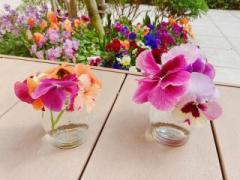 画像(240x180)・拡大画像(640x480)