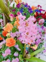 画像(180x240)・拡大画像(480x640)