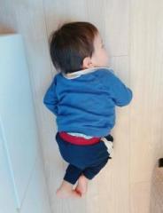 画像(184x240)・拡大画像(493x640)