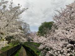 画像(240x180)・拡大画像(640x480)