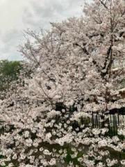 画像(180x240)・拡大画像(480x640)