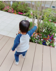 画像(189x240)・拡大画像(506x640)