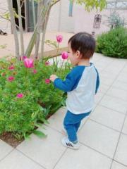 画像(180x240)・拡大画像(480x640)