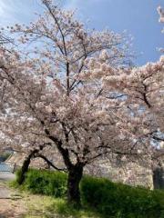 �摜(180x240)�E�g��摜(480x640)