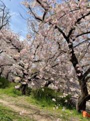 �摜(180x240)�E�g��摜(480x640)