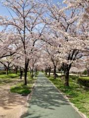 �摜(180x240)�E�g��摜(480x640)