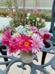 �摜(180x240)�E�g��摜(480x640)