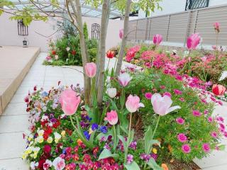 画像(320x240)・拡大画像(640x480)