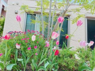 画像(320x240)・拡大画像(640x480)