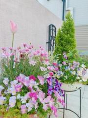 画像(180x240)・拡大画像(480x640)