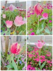 画像(180x240)・拡大画像(480x640)