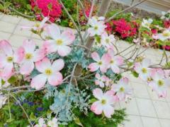 画像(240x180)・拡大画像(640x480)