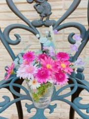 �摜(180x240)�E�g��摜(480x640)