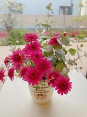 �摜(180x240)�E�g��摜(480x640)