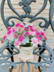 �摜(180x240)�E�g��摜(480x640)