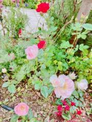 �摜(180x240)�E�g��摜(480x640)