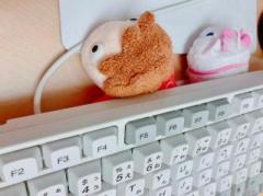 �摜(240x179)�E�g��摜(640x478)