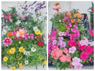 �摜(320x240)�E�g��摜(640x480)