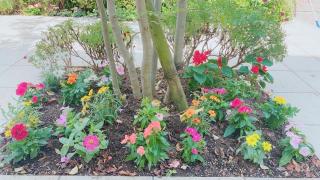 �摜(320x180)�E�g��摜(640x360)