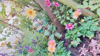 �摜(320x180)�E�g��摜(640x360)