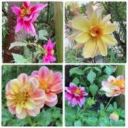 �摜(180x180)�E�g��摜(640x640)