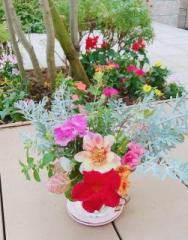 �摜(188x240)�E�g��摜(502x640)