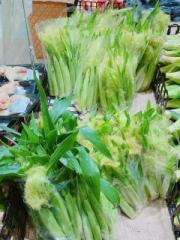 �摜(180x240)�E�g��摜(480x640)