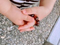 画像(240x180)・拡大画像(640x480)