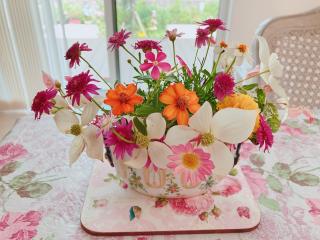 �摜(320x240)�E�g��摜(640x480)