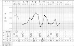 画像(240x150)・拡大画像(491x308)