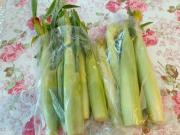 画像(180x135)・拡大画像(640x480)