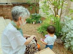 画像(240x180)・拡大画像(640x480)