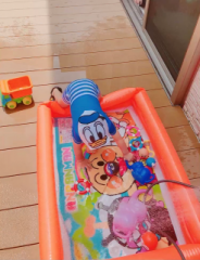 画像(184x240)・拡大画像(493x640)