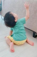 画像(157x240)・拡大画像(421x640)