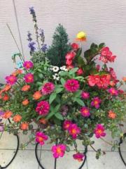 �摜(180x240)�E�g��摜(480x640)