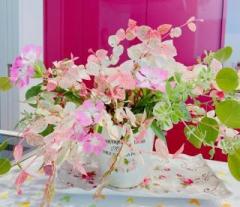 画像(240x207)・拡大画像(640x554)