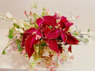 �摜(320x240)�E�g��摜(640x480)