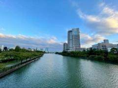 画像(240x180)・拡大画像(640x480)