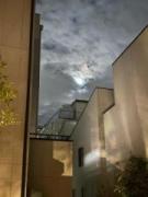 画像(135x180)・拡大画像(480x640)