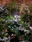 画像(135x180)・拡大画像(480x640)