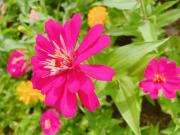 画像(180x135)・拡大画像(640x480)