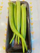 画像(135x180)・拡大画像(480x640)