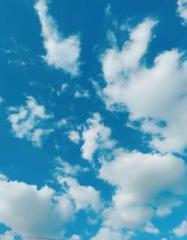 画像(187x240)・拡大画像(500x640)