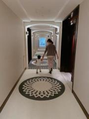 画像(180x240)・拡大画像(480x640)