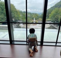 画像(240x231)・拡大画像(640x619)