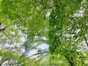 画像(180x135)・拡大画像(640x480)