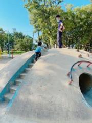 画像(180x240)・拡大画像(480x640)