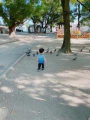 画像(180x240)・拡大画像(480x640)