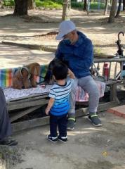 画像(178x240)・拡大画像(476x640)