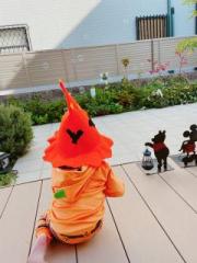 画像(180x240)・拡大画像(480x640)